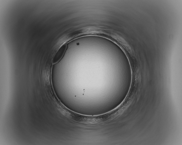 X0000116681273200912211616