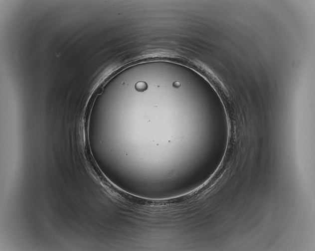 X0000116681274200912211616