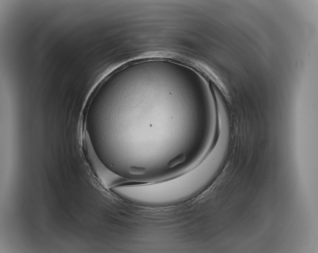 X0000116681276200912211616