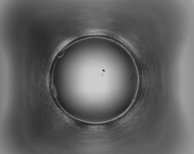 X0000116681277200912211616