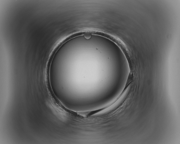 X0000116681279200912211616