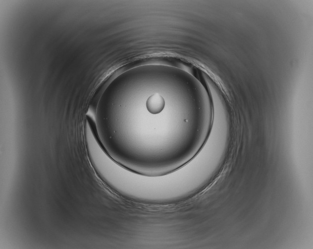 X0000116681281200912211616