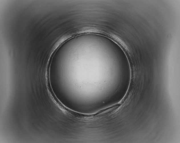 X0000116681282200912211616