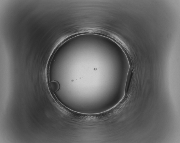 X0000116681283200912211616