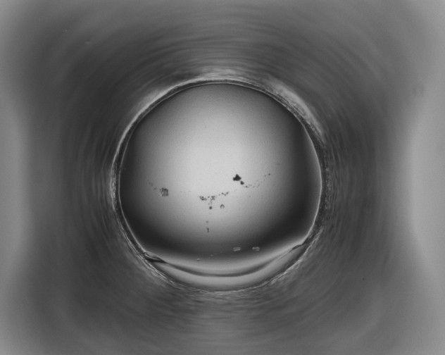 X0000116681284200912211616