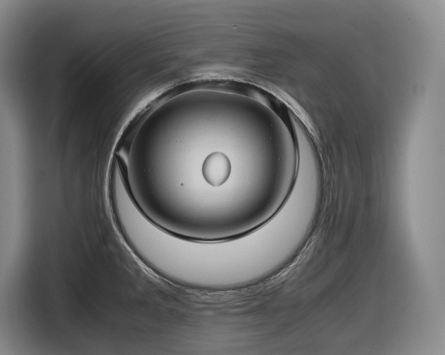 X0000116681285200912211616