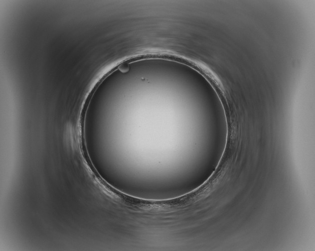 X0000116681287200912211616