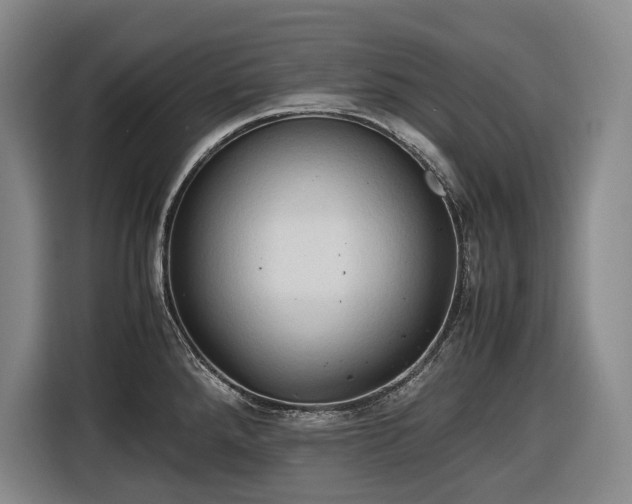 X0000116681288200912211616