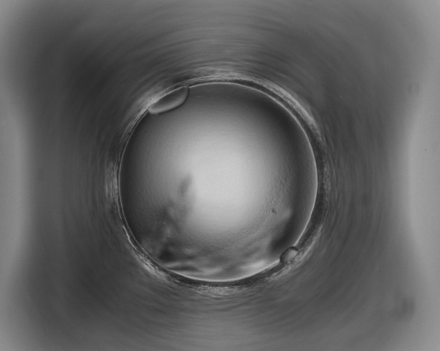 X0000116681289200912211616