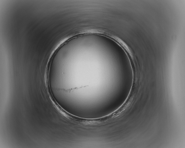 X0000116681293200912211616