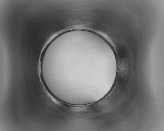 X0000116681294200912211616