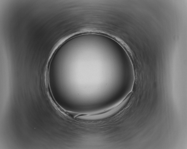 X0000116681295200912211616