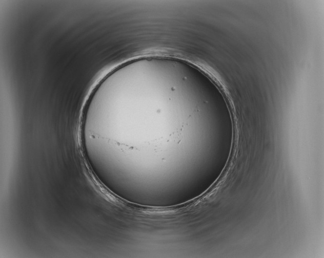 X0000116681296200912211616