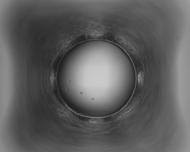 X0000116681299200912211616