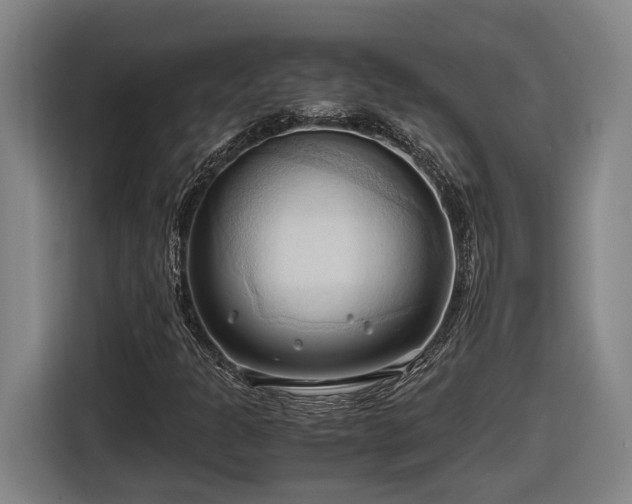 X0000116681301200912211616