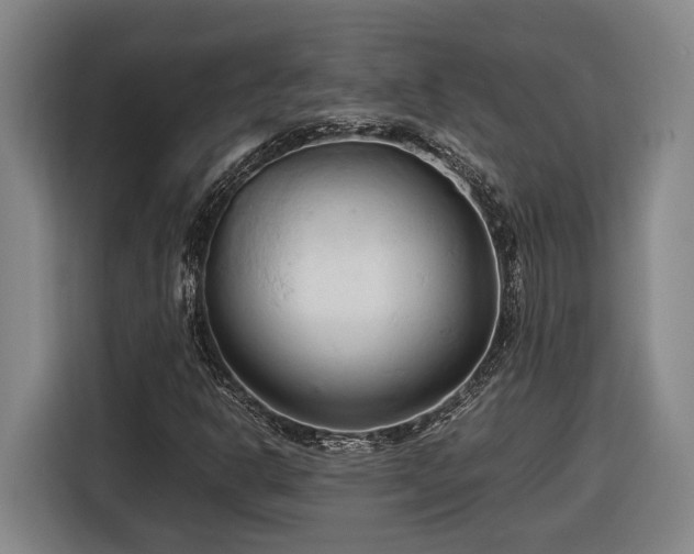 X0000116681302200912211616