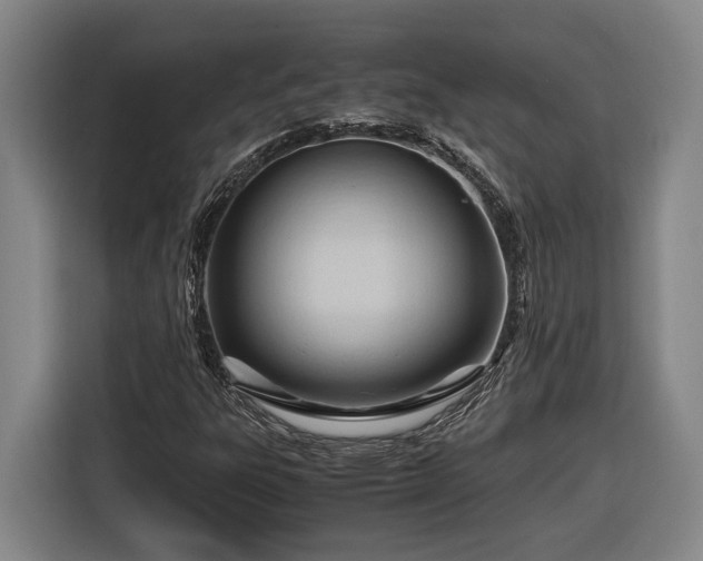 X0000116681303200912211616