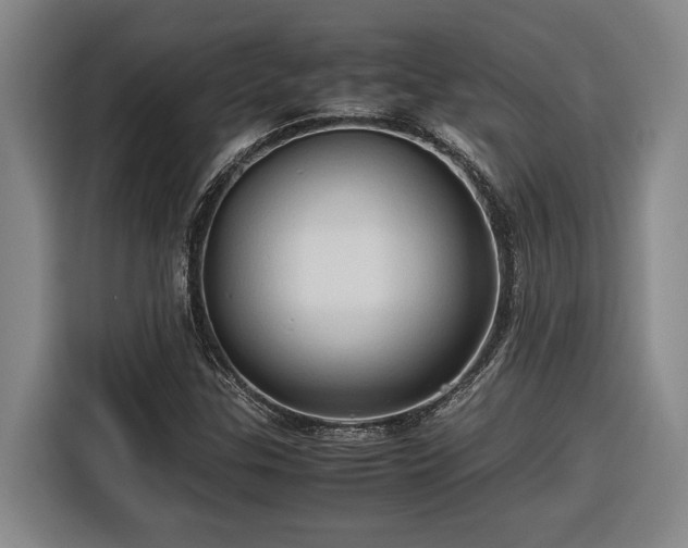 X0000116681307200912211616