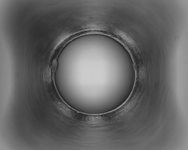 X0000116681310200912211616