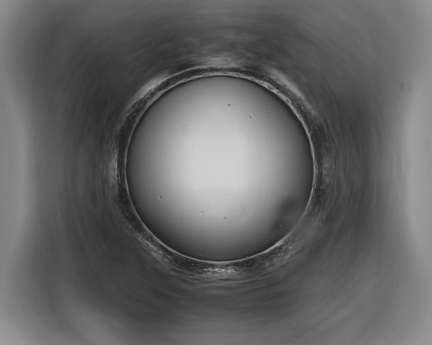 X0000116681315200912211616