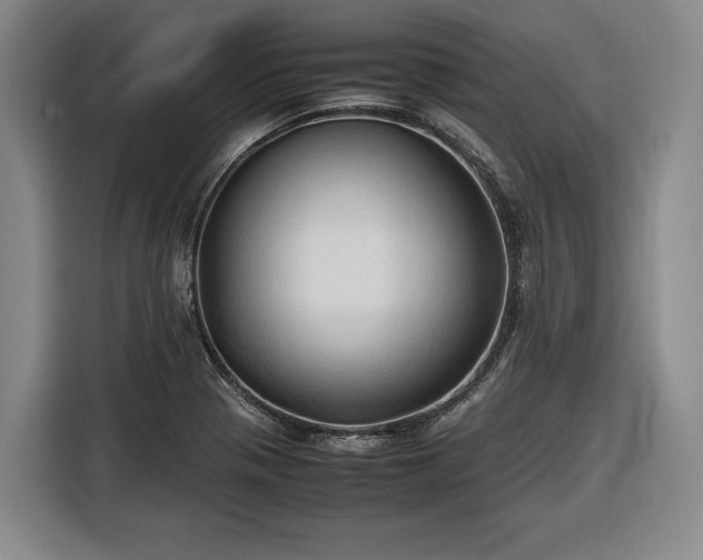 X0000116681321200912211616