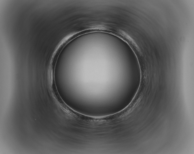 X0000116681323200912211616