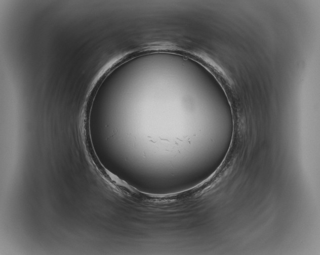 X0000116681325200912211616