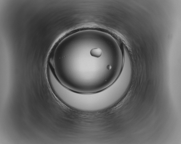 X0000116681326200912211616