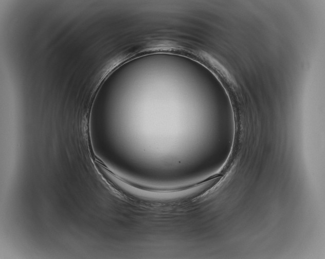 X0000116681329200912211616