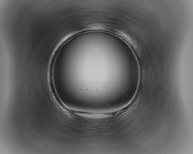 X0000116681331200912211616