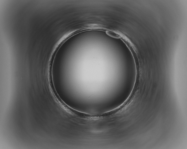 X0000116681333200912211616