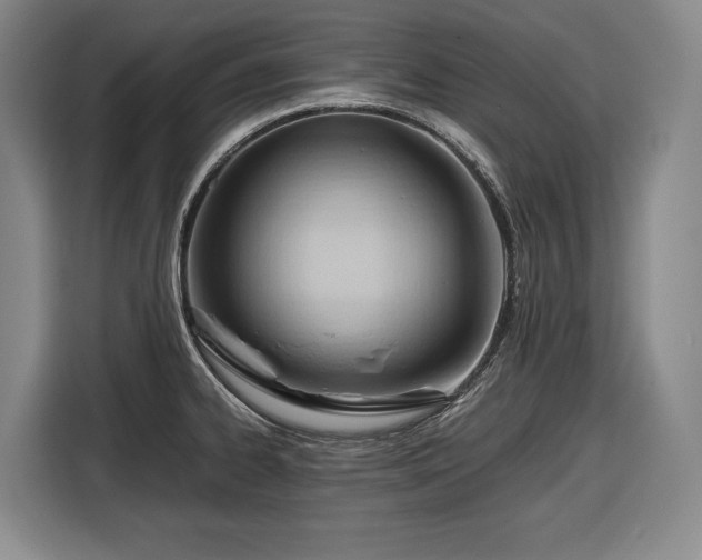 X0000116681334200912211616