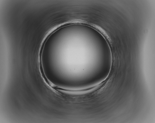 X0000116681335200912211616