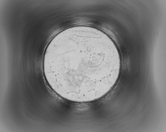 X0000116681338200912211616