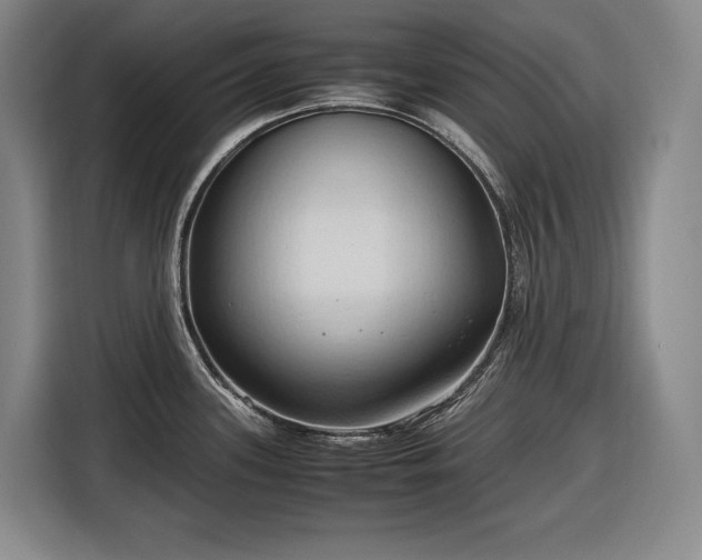 X0000116681339200912211616