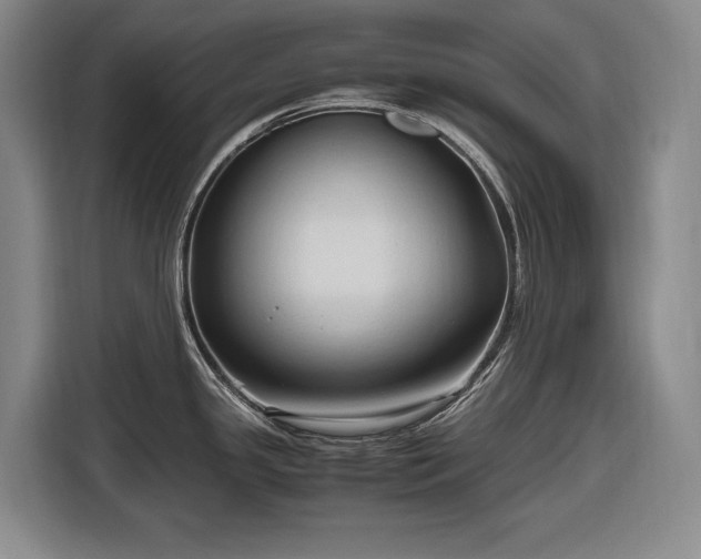 X0000116681341200912211616