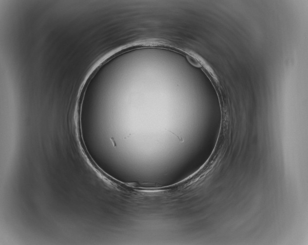 X0000116681343200912211616