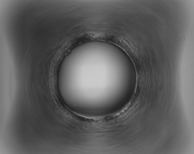 X0000116681345200912211616