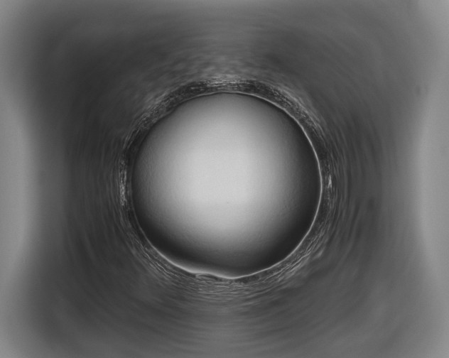 X0000116681348200912211615