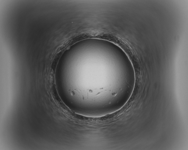 X0000116681349200912211615