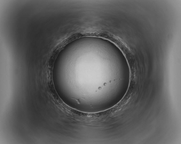 X0000116681350200912211615