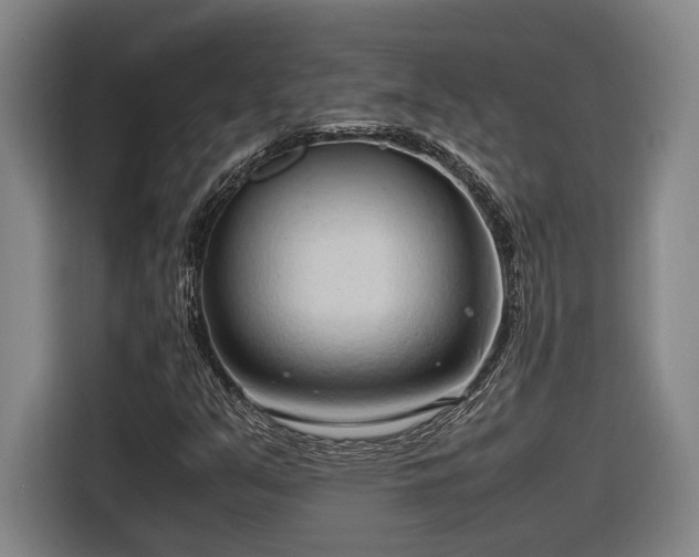 X0000116681351200912211615