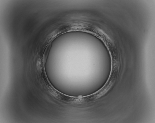 X0000116681353200912211615