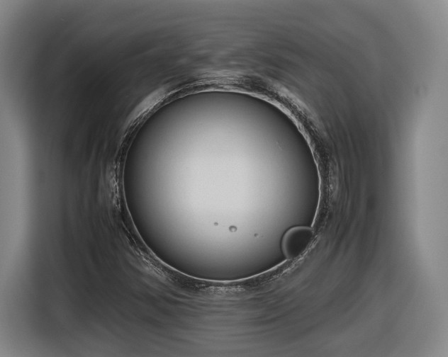 X0000116681354200912211615