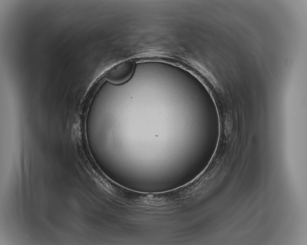 X0000116681356200912211615