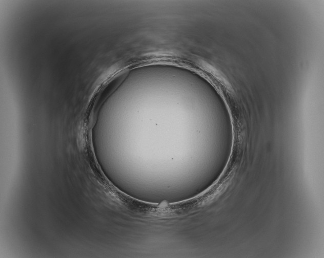 X0000116681357200912211615