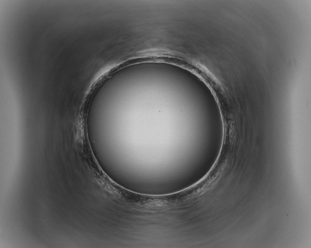 X0000116681358200912211615