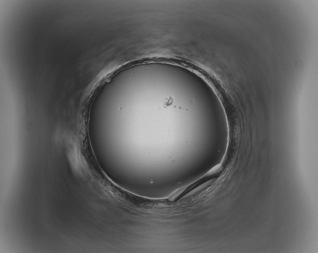 X0000116681359200912211615