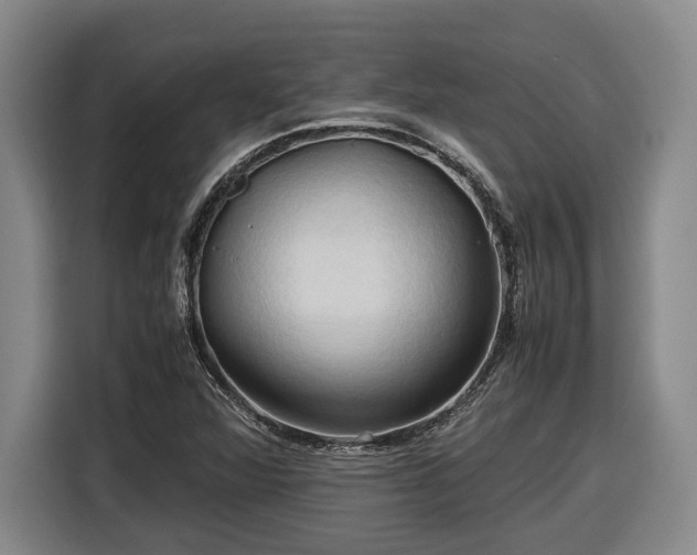 X0000116681360200912211615