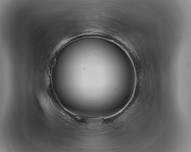 X0000116681363200912211615